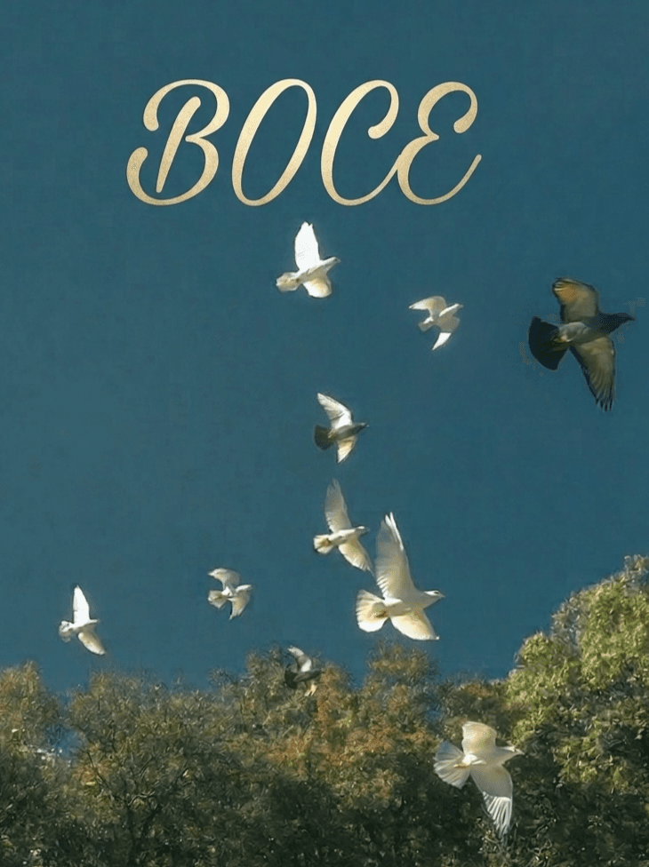 BOCE